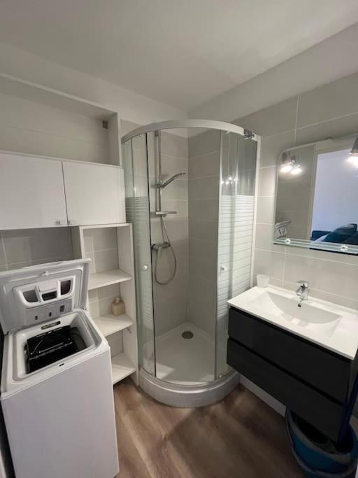 Appartement Lumineux, Terrasse, Piscine Proche Plages *